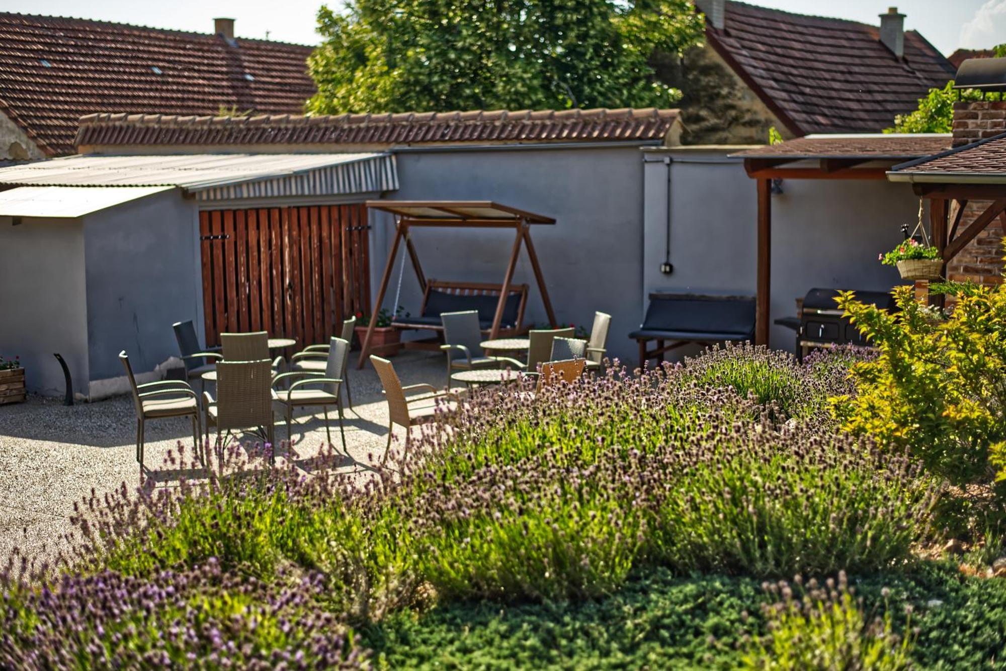 Penzion Vinarstvi Cervinka Horni Vestonice Extérieur photo